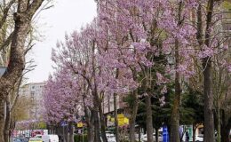 Beylikdüzü’nde Bahar Mesaisi Başladı