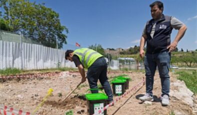 Organik atıklar hanelerde dönüşerek toprağı zenginleştiriyor