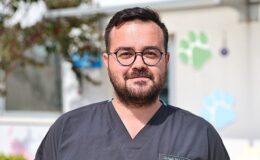Büyükşehir Bakımevi’nde can dostlar sıcak yuvalarına kavuşuyor