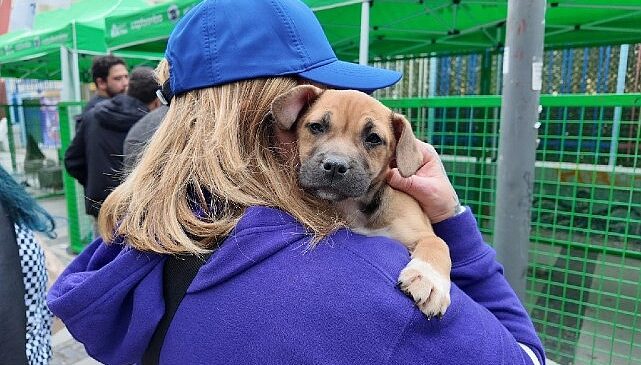 Konak’ta sahiplendirme buluşması: 11 can dost yeni yuvalarına kavuştu